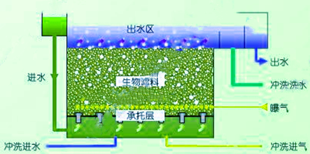 1563269443428112.png 1.png