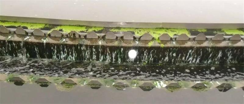 1567757686666921.jpg 3.jpg