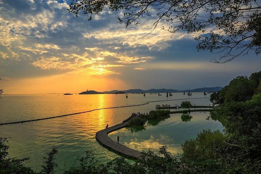 1587882738113437.jpg 1.jpg