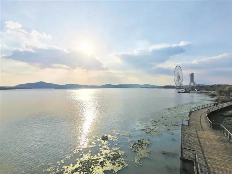 1587882762944237.jpg 2.jpg